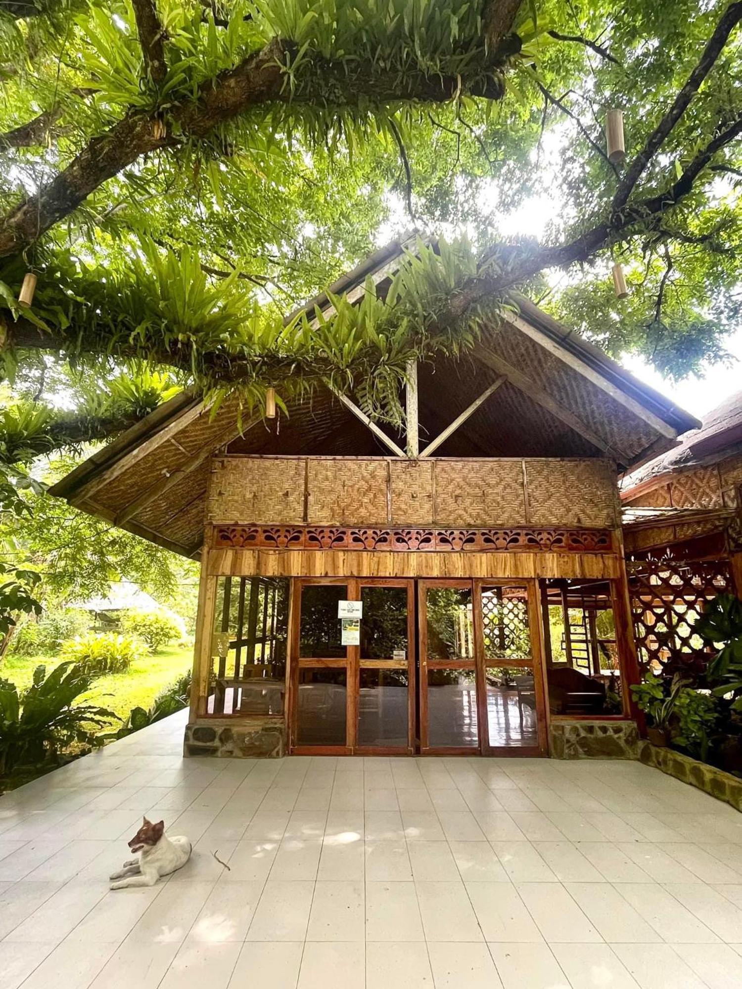 Camiguin Volcano Houses-Panoramic House مامباجاو المظهر الخارجي الصورة