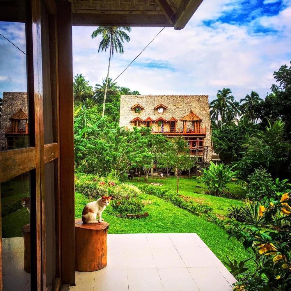 Camiguin Volcano Houses-Panoramic House مامباجاو المظهر الخارجي الصورة